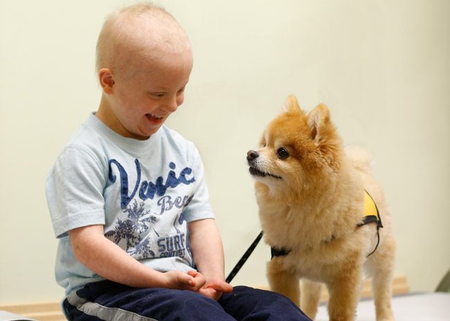 A Patient's Best Friend: The impact of animal-assisted therapy on children  with cancer | School of Nursing | Vanderbilt University