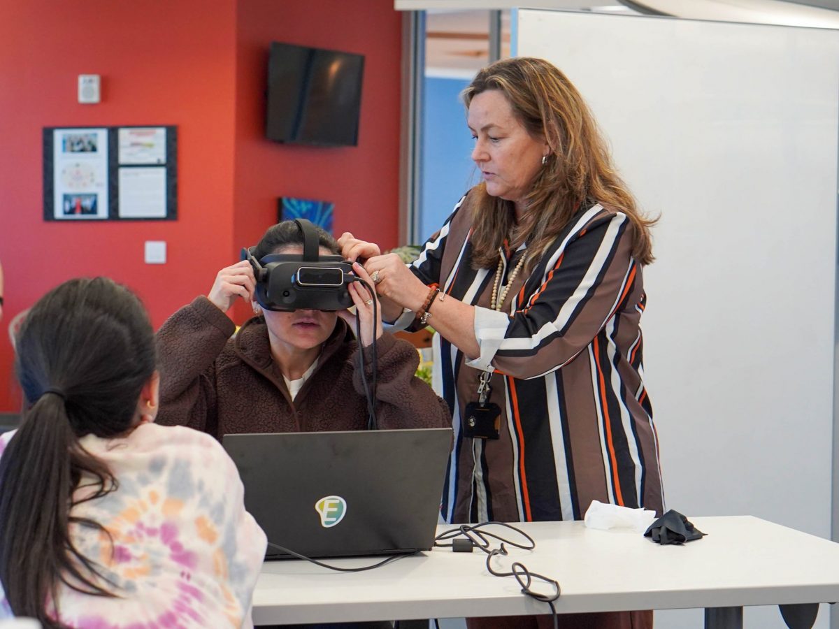 Nursing informaticist professor helps student with virtual technology